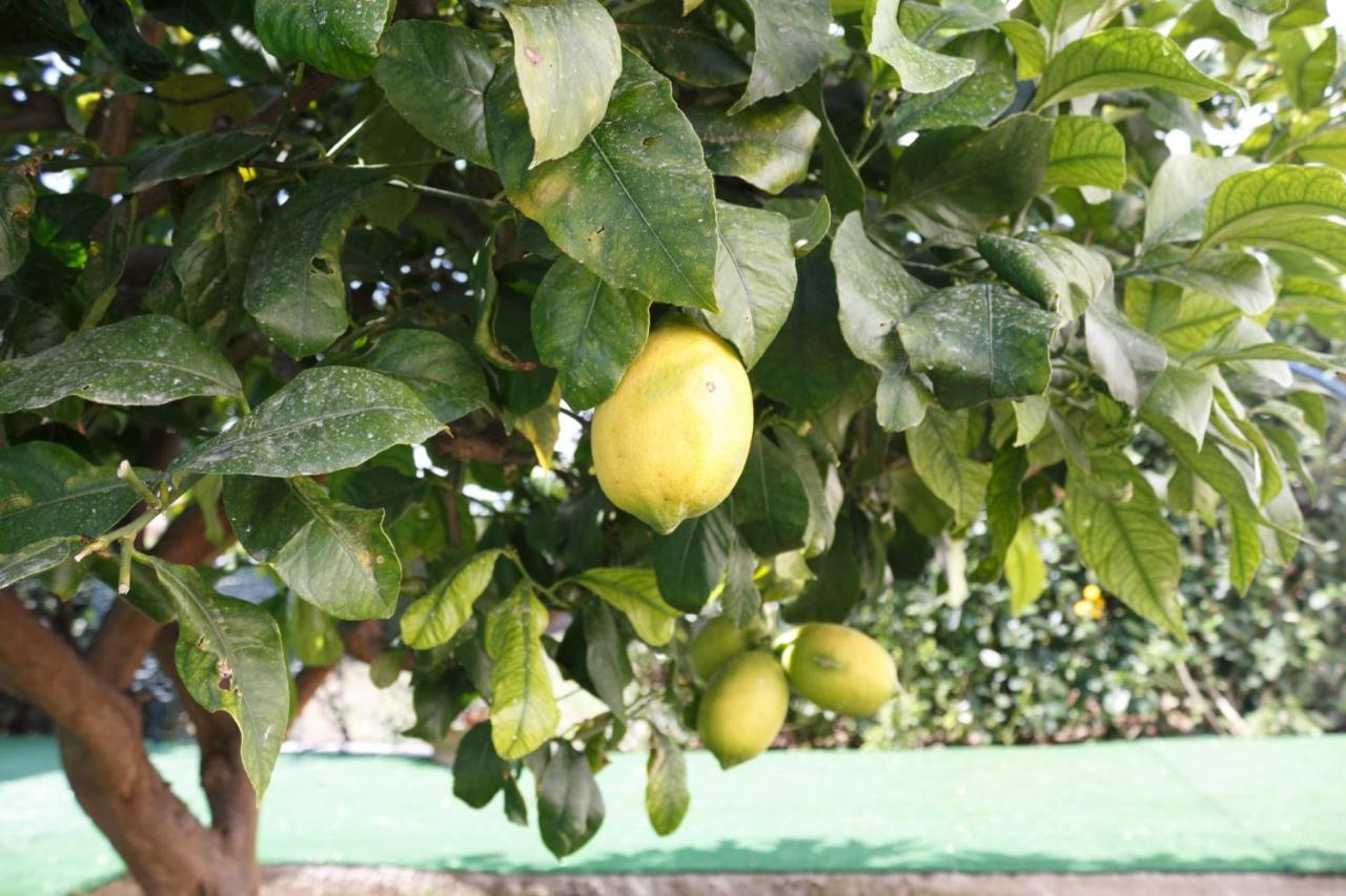 La Nuvoletta Villa Siraküza Dış mekan fotoğraf